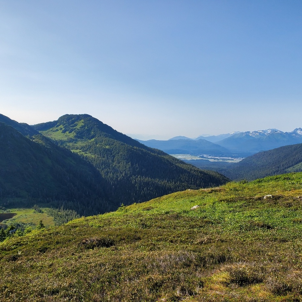 Meet your Posher, Mckenzie